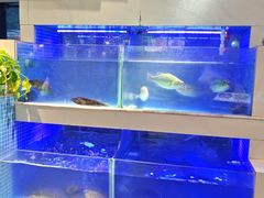-王捌小院(红花坡店)
