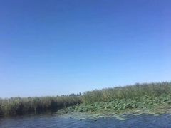 -白洋淀景区