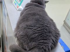 -美美宠物诊疗中心·异宠·骨科(滨江东信分院)