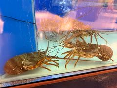 -珍宝海鲜JUMBO Seafood(北京SKP店)