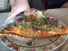 -Red Lobster