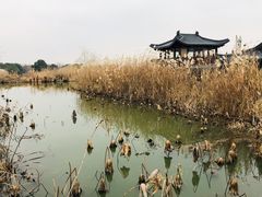 -下渚湖国家湿地公园科普馆