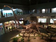 -自贡恐龙博物馆