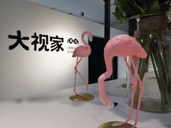 -大视家眼镜(园区星海店)
