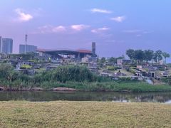 -坪山湿地公园