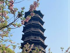 -重庆园博园