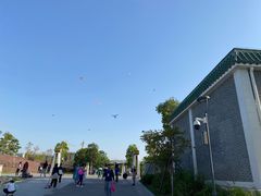 -王借岗森林公园