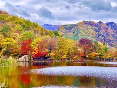 -关门山森林公园