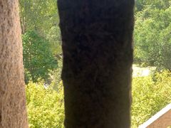 -草庵摩尼教遗址公园