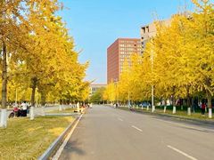 -天府广场