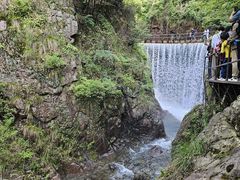 -大奇山国家森林公园