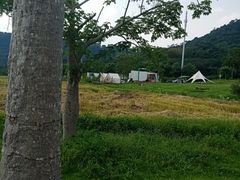 -风云岭森林公园