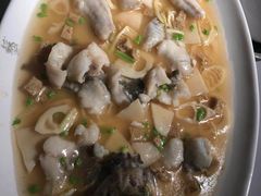 清蒸大黄鱼-苏浙汇(古北店)