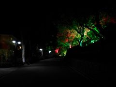 -广州市干部健康管理中心