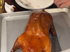 -青叶202都市餐厅(迪诺水镇店)