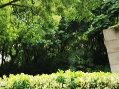 -苏州河梦清园环保主题公园