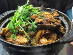 麻辣鲶鱼煲-川香煲(茅台路店)