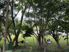 -东莞植物园