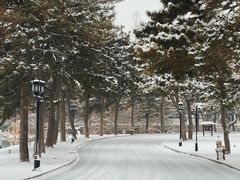-钓鱼台国宾馆