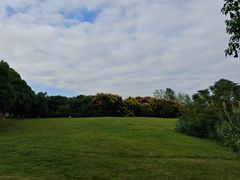 -盘龙城国家考古遗址公园