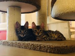 -Me Coffee下午茶艺术空间