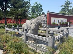 -洛阳白马寺