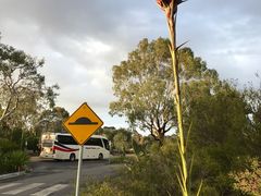 -威勒比开放式动物园