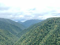 -凤凰山国家森林公园