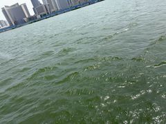 -海河外滩公园