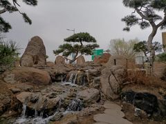 -罗红摄影艺术馆