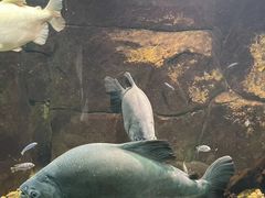 -嘉兴海底世界