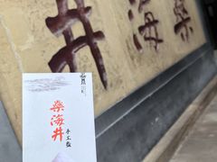 -燊海井