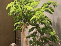 -百富源·海鲜辽菜(和平北大街店)