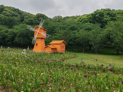 -苏州上方山国家森林公园