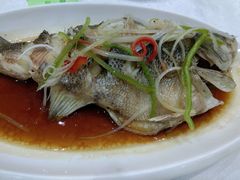 -北纬39度天津宴(黑牛城道店)