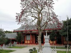 景点-莆田南少林寺