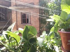 -胖哥料理(兴义里店)