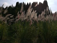景点-千岛湖龙川湾