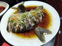 清蒸桂鱼-楚灶王(徐东店)