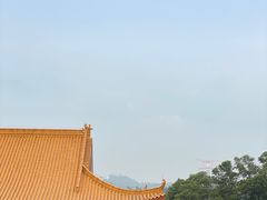 -深圳仙湖植物园
