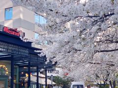 -玛格萝妮比萨屋(四平店)