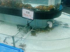 -年顺渔村(大岭山店)