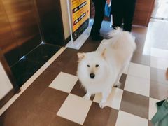 -肆兮眼镜·蔡司·徕卡战略合作店(大坪店)