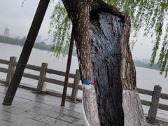 -济南大明湖景区