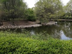 -长白岛森林公园