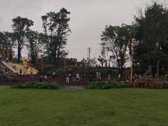 -铁山坪森林公园