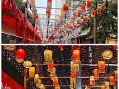 -越秀西湖花市(广州城市广场花卉店)