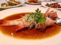 清蒸东星斑-御宝轩(益丰·外滩源店)