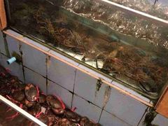 iphone_upload_pic-J Daeng Seafood