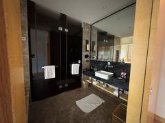 -河源万绿湖美思威尔顿酒店